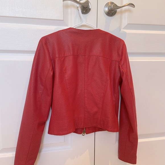 Genuine Leather bomber jacket - Picture 3 of 5